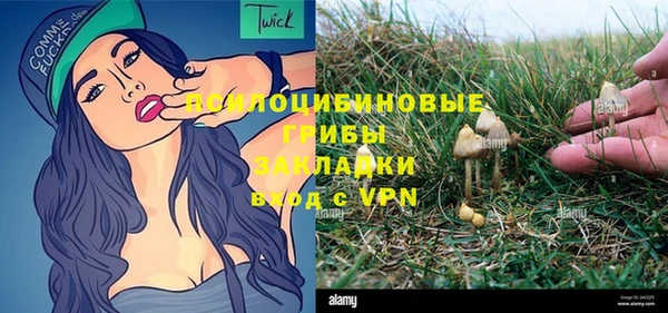 Альфа ПВП Вуктыл