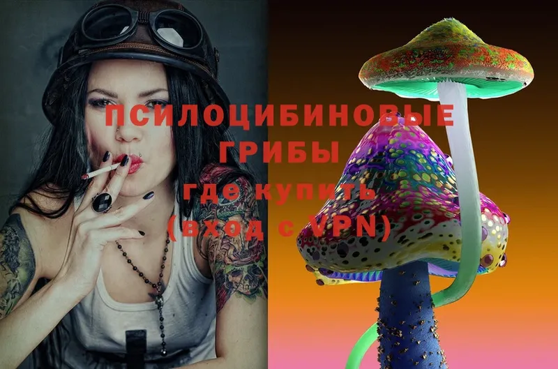 omg рабочий сайт  Курчатов  Псилоцибиновые грибы MAGIC MUSHROOMS 