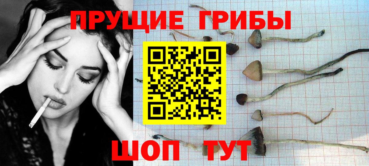 Галлюциногенные грибы Magic Shrooms Курчатов
