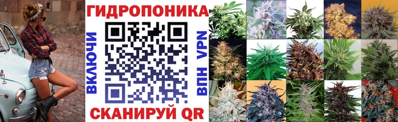 KRAKEN онион  Курчатов  Каннабис VHQ 
